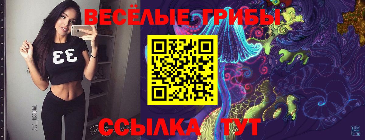 Галлюциногенные грибы Psilocybine cubensis Камышлов